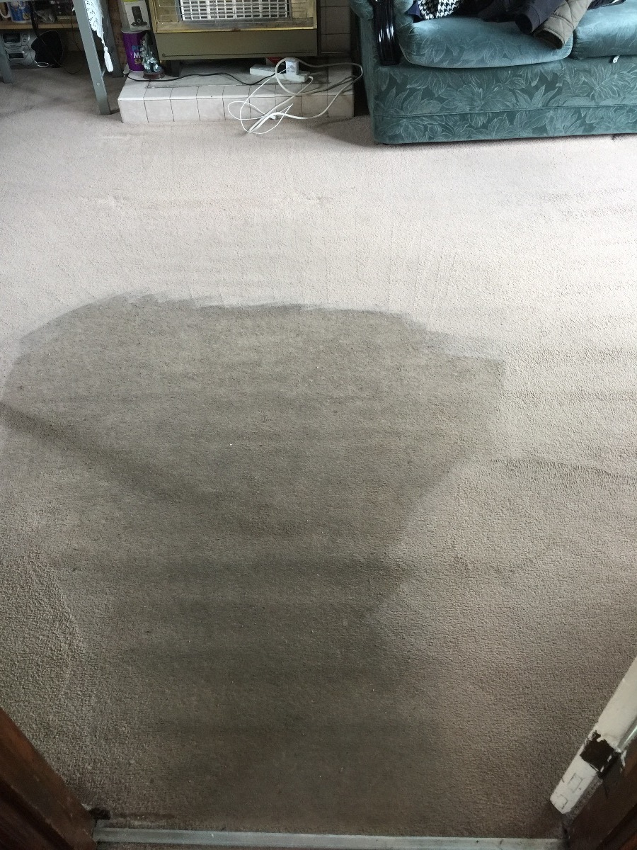 Cleaner: Image 13